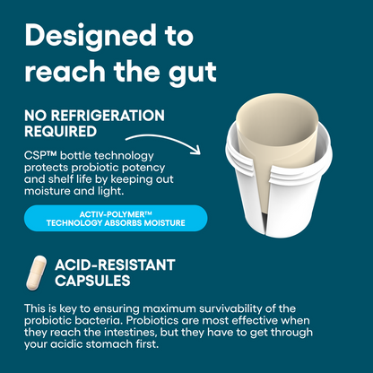 Probiotic & Digestive Enzyme Gut Support Bundle